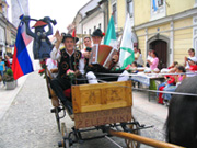 Pokaži sliko